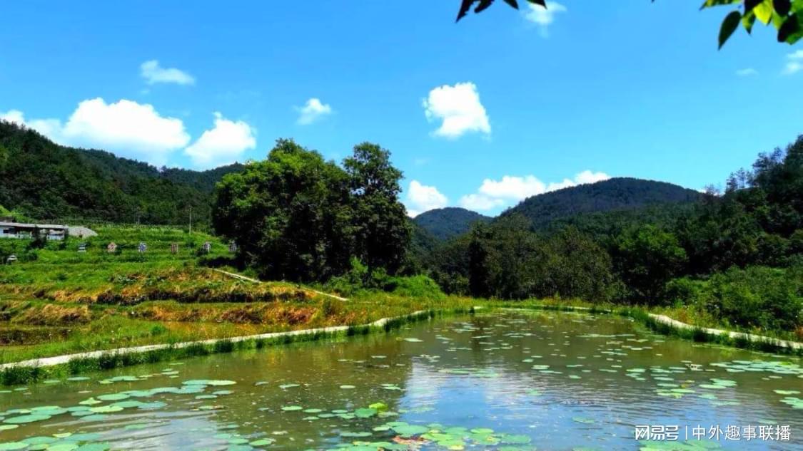 DY人气自助下单