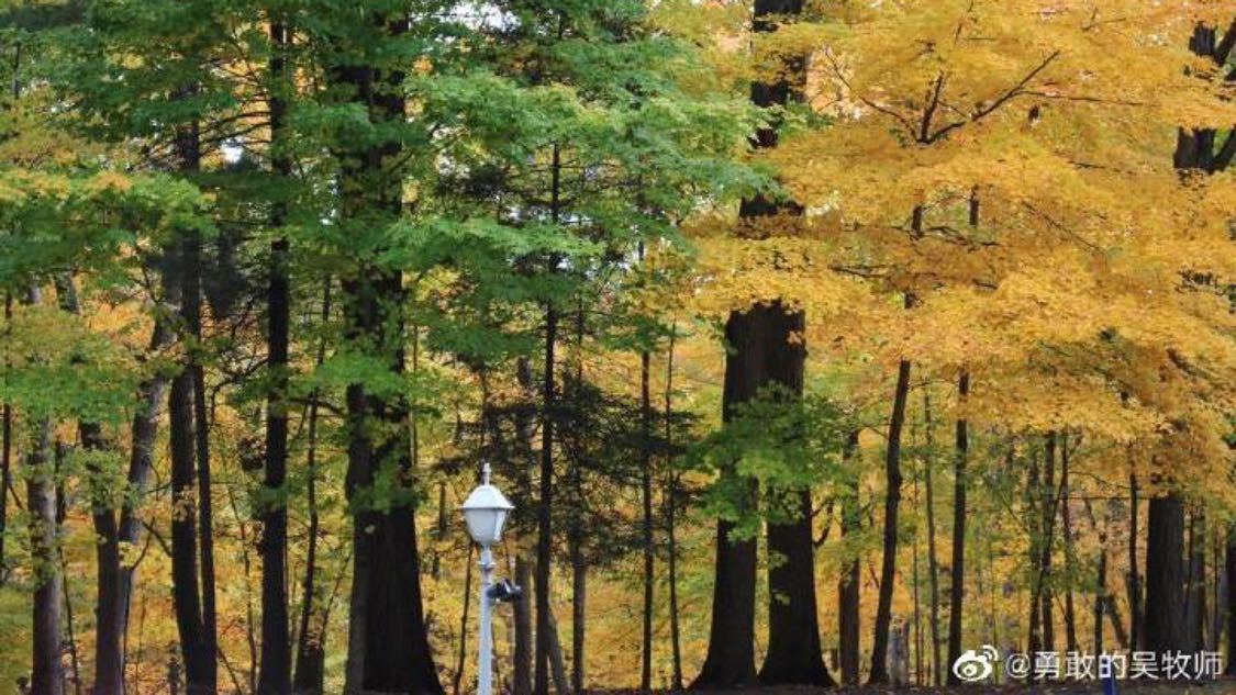 抖音自助平台下单24小时发货